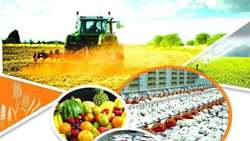 تاکید بر ارتقای نظام راهبری و شفافیت مالی در صندوق‌های تخصصی کشاورزی